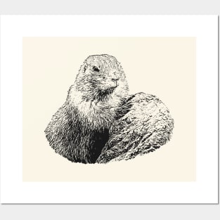 Prairie dog Posters and Art